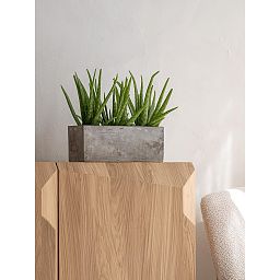 Concrete Alice Rectangle Planter by Idealist Premium