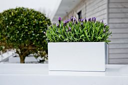 WINDOW BOX Fiberstone Planter by Idealist Premium Balcony Glossy