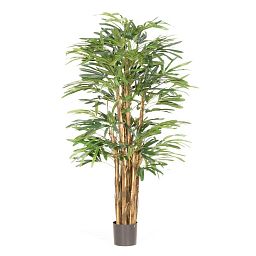 RAPHISPALME Artificial Tree Plant