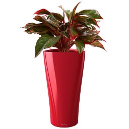 LECHUZA Delta Round Tall Poly Resin Self-watering Planter