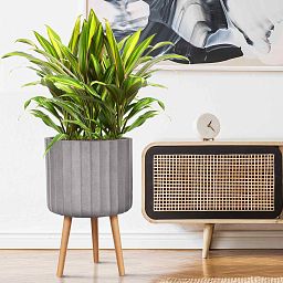 IDEALIST Lite Modern Ribbed Cylinder Planter on Legs, Round Pot Plant Stand Indoor