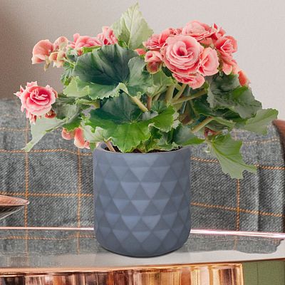 IDEALIST Lite Diamond Style Indoor Hanging Planter