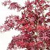MAPLE DELUXE Artificial Tree Plant