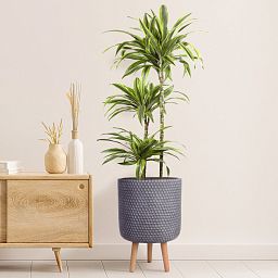 IDEALIST Lite Honeycomb Style Cylinder Planter on Legs, Round Pot Plant Stand Indoor