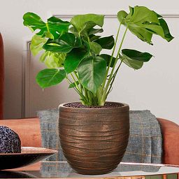 IDEALIST Lite Row Style Round Indoor Planter