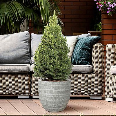 IDEALIST Lite Straw Plaited Style Egg Planter