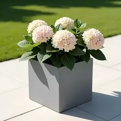 IDEALIST Lite Square Box Contemporary Light Concrete Planter