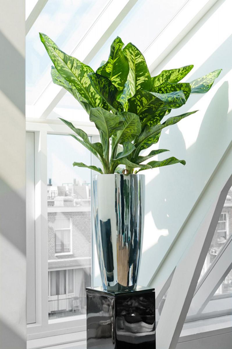 Fibrestone Platinum Dax Tall Planter by Idealist Premium