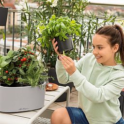 LECHUZA PILA Color Stick Square Poly Resin Self-watering Planter