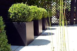 Raised Trough Fiberstone Contemporary Planter by Cadix Capi Lux