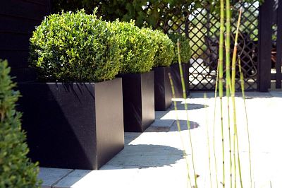Raised Trough Fiberstone Contemporary Planter by Cadix Capi Lux