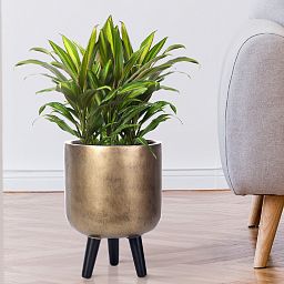 IDEALIST Lite Round Planter on Legs, Round Pot Plant Stand Indoor