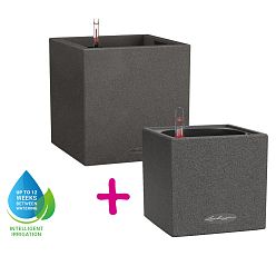 LECHUZA CANTO Stone Low Square Poly Resin Self-watering Planter Set
