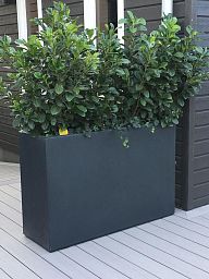 AXIS Trough Outdoor Fiberglass Planter