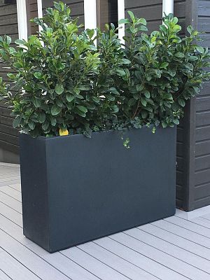 AXIS Trough Outdoor Fiberglass Planter