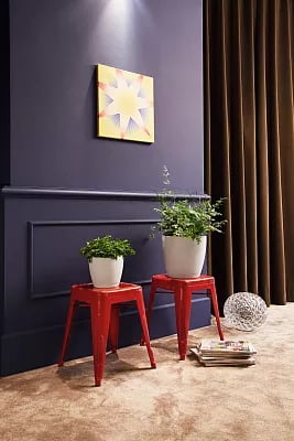 LECHUZA CLASSICO Color Round Poly Resin Self-watering Planter