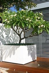 Florida Outdoor Aluminum Square Planter