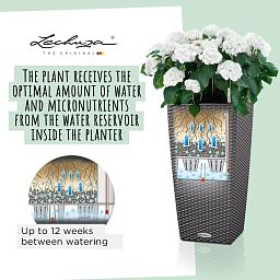 LECHUZA CUBICO Cottage Square Tall Poly Resin Self-watering Planter