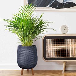 IDEALIST Lite Honeycomb Style Egg Planter on Legs, Round Pot Plant Stand Indoor