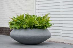 Round Fiberstone Bowl Glossy Tara Planter by Idealist Premium