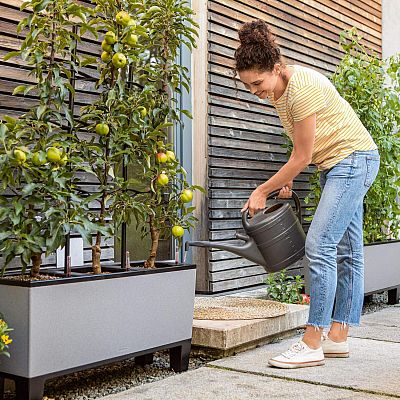 LECHUZA TRIO Stone Trough Poly Resin Self-watering Planter