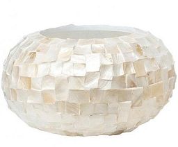 Oceana Bowl Indoor Planter