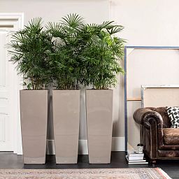 LECHUZA CUBICO ALTO Square Tall Poly Resin Self-watering Planter