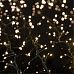 Multi Action TREEBRIGHTS Christmas Lights