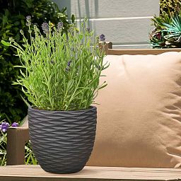 IDEALIST Lite Wave Style Outdoor Egg Planter