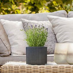 IDEALIST Lite Vertical Ribbed Square Effect Outdoor Planter