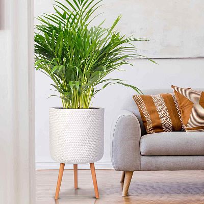 IDEALIST Lite Honeycomb Style Cylinder Planter on Legs, Round Pot Plant Stand Indoor