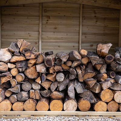 Outdoor Wooden Overlap Presssure Treated Apex Log Store by Forest Garden