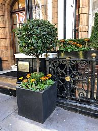 IDEALIST Lite Square Box Contemporary Light Concrete Planter