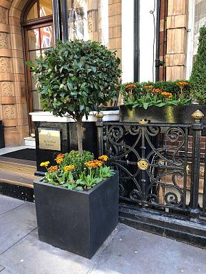 IDEALIST Lite Square Box Contemporary Light Concrete Planter