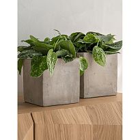 Grace S Concrete Grey Square H12.5 L12.5 W12.5 cm Planter by Idealist ...