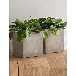 Grace Concrete Square Planter by Idealist Premium