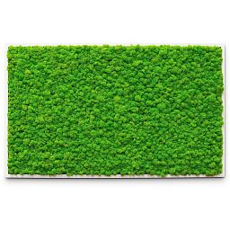 PREMIUM Moss Wall Art Artificial Moss Plant