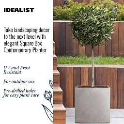 IDEALIST Lite Square Box Contemporary Light Concrete Planter