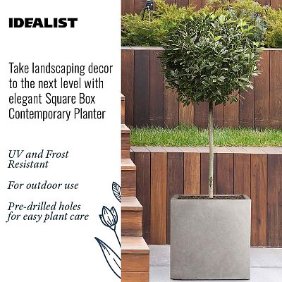 IDEALIST Lite Square Box Contemporary Light Concrete Planter