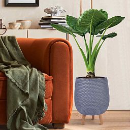 IDEALIST Lite Honeycomb Style Egg Planter on Legs, Round Pot Plant Stand Indoor