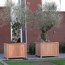 Hardwood Valencia Square Wood Outdoor Planter