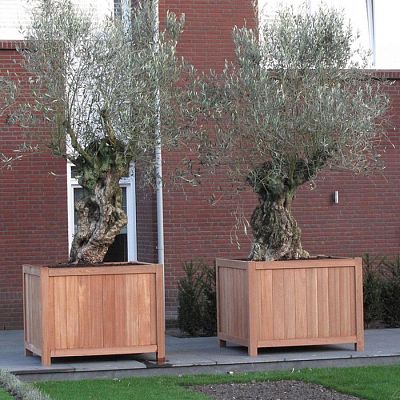 Hardwood Valencia Square Wood Outdoor Planter