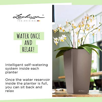 LECHUZA CUBI Square Poly Resin Indoor Self-watering Planter
