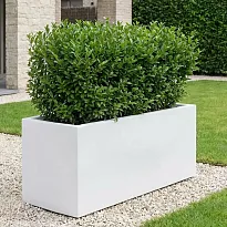 IDEALIST Lite Contemporary Trough Garden Planter, White Light Concrete...