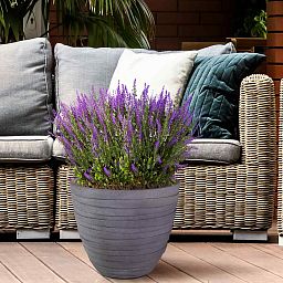 IDEALIST Lite Row Light Concrete Egg Planter