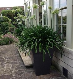 Geo Classic Fiberglass Square Tall Aluminium Planter Pot In/Out