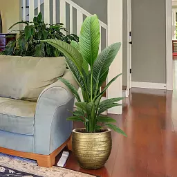 IDEALIST Lite Row Style Round Indoor Planter