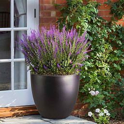 IDEALIST Lite Contemporary Light Concrete Egg Planter