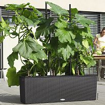 LECHUZA TRIO Cottage 40 Granite Self-watering Planter Plant Pot with S...