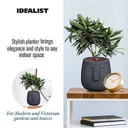 IDEALIST Lite Textured Concrete Effect Oval Indoor Face Pot